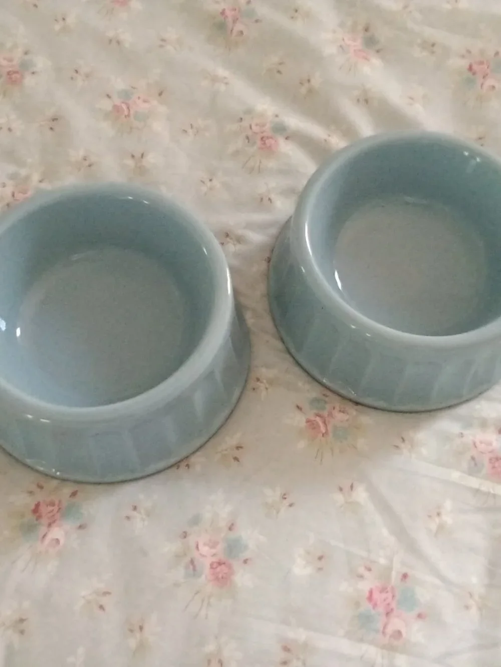 2 Martha Stewart Blue Dog Bowls